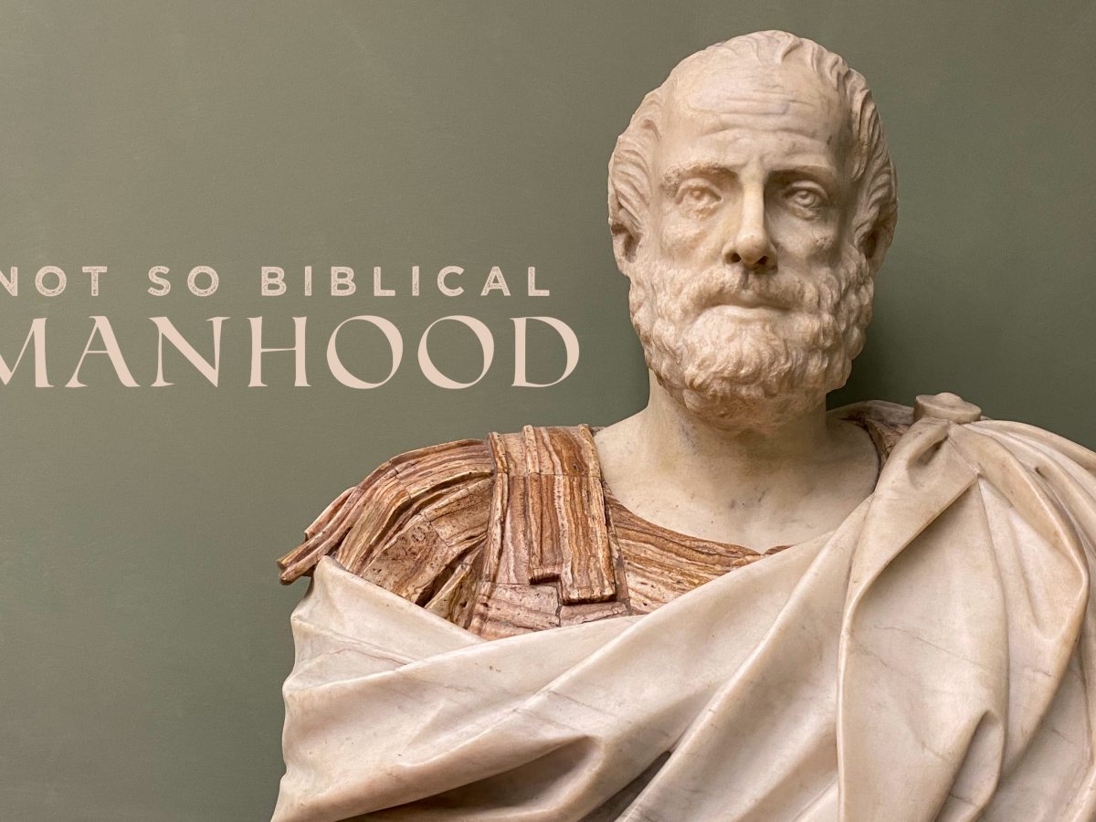 Not So Biblical&nbsp;Manhood
