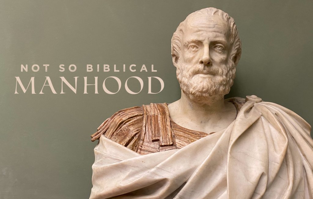 Not So Biblical Manhood